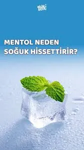 MENTOL NEDEN SOĞUK HİSSİ VERİR?