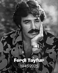 -NEYE YARAR-