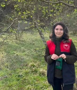 Feromon Tuzaklar Asılmaya Başlandı