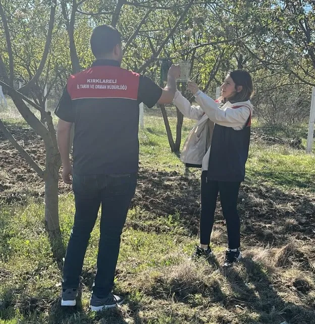 İstilacı Türle Mücadele’de Feromon Tuzaklar kontrol edildi